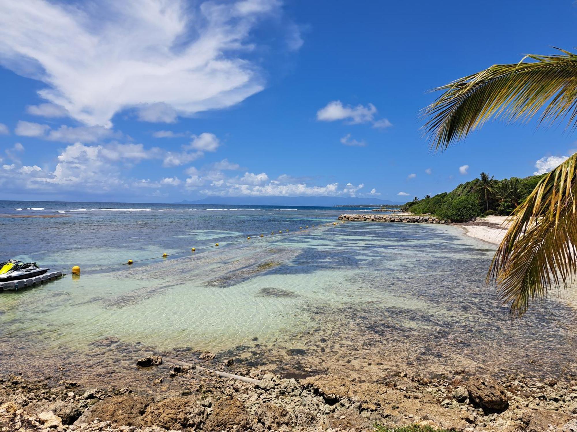 Studios Angoreva Vue Mer - Cote Plage Ou Jardin - Village Vacances - Sainte-Anne Guadeloupe Courcelles Exteriér fotografie